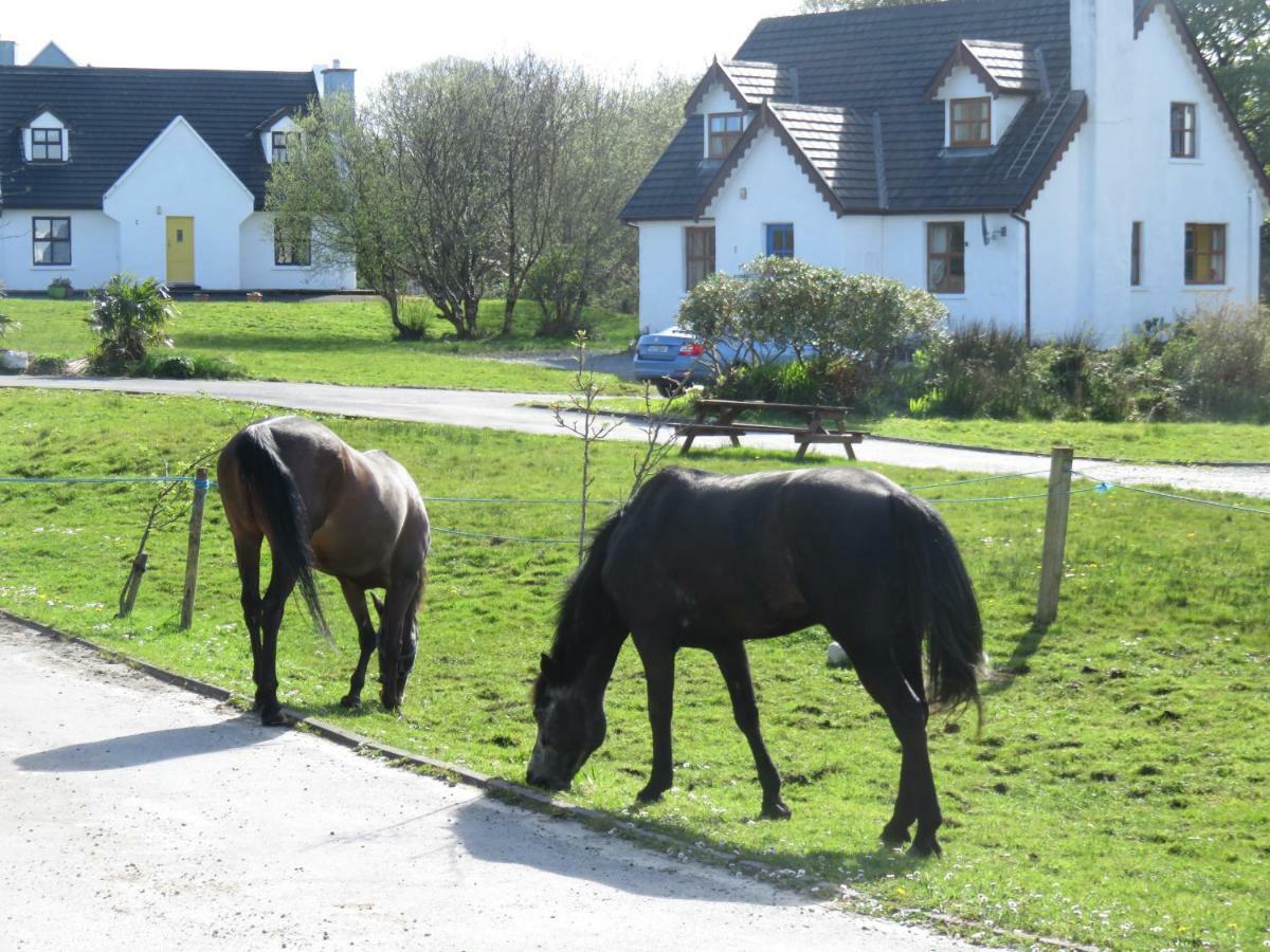 Letterfrack Farm Cottage in village on a farm beside Connemara National Park Exteriör bild