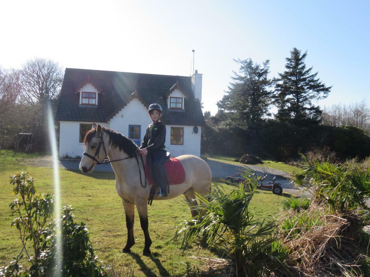 Letterfrack Farm Cottage in village on a farm beside Connemara National Park Exteriör bild